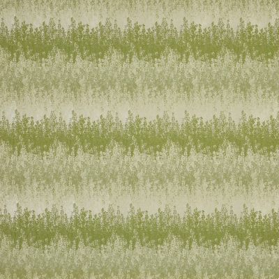 Forage Willow
