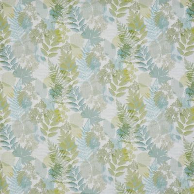 Forest Willow