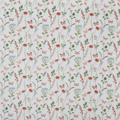 Gracie Apricot