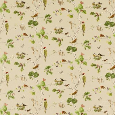 Woodland Chorus Birch/Multi