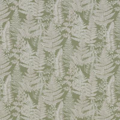 Woodland Walk Fern