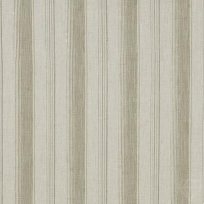 Sackville Stripe Fern