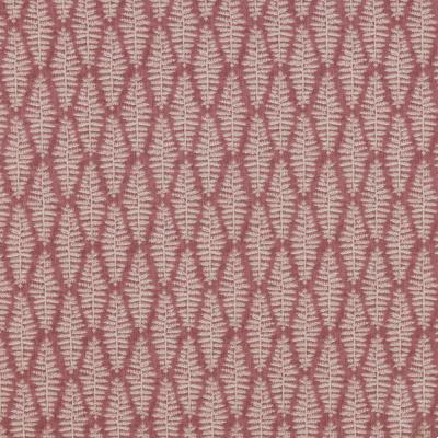 Fernia Rosa