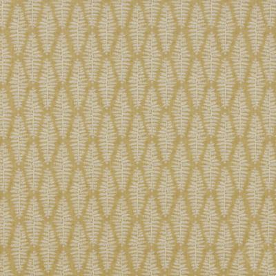 Fernia Mustard