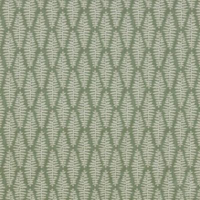 Fernia Fern