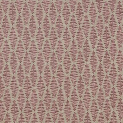 Fernia Dusty Pink