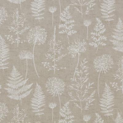 Chervil Clay