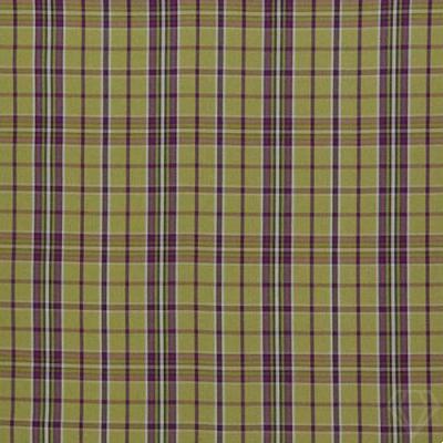 Heathcliff Pistachio Woven Check