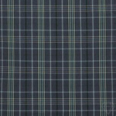 Heathcliff Indigo Woven Check
