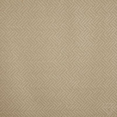 Avesta Birch