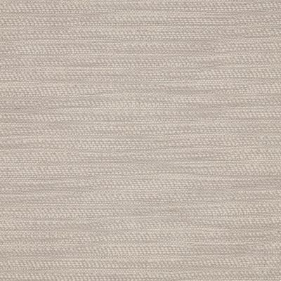 Desert Pale Grey
