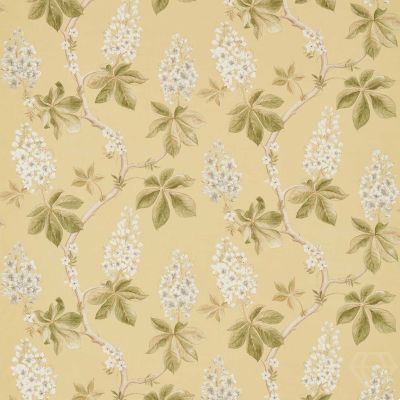 Chestnut Tree Lemon/Lettuce