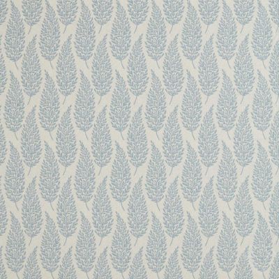 Elm Denim