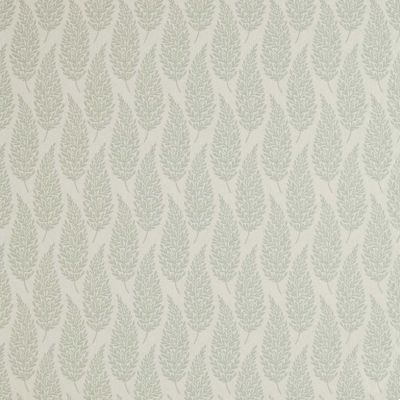 Elm Fennel