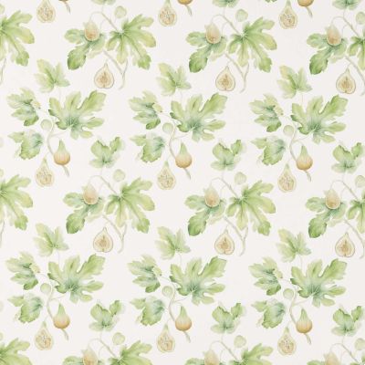 Fig Harvest Garden Green