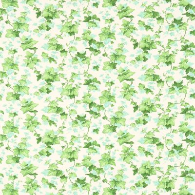 Hedera Green