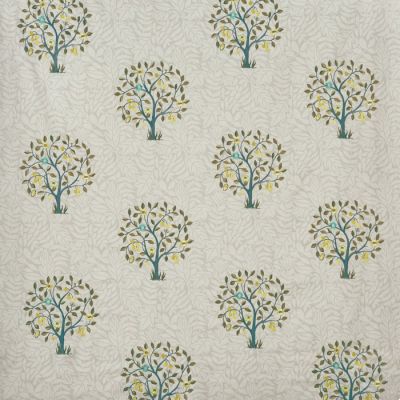 Aesop Willow