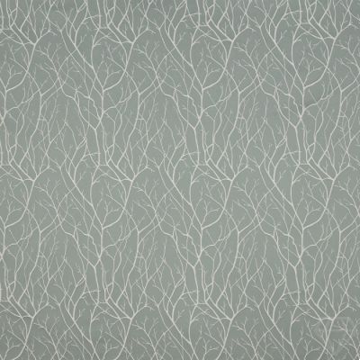Cuerden Celadon