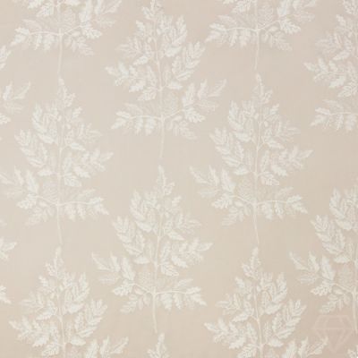 Haldon Putty