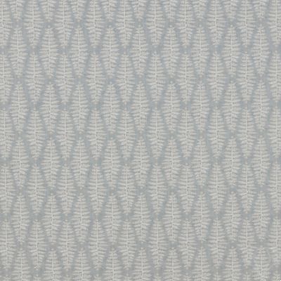 Fernia Blue Mist