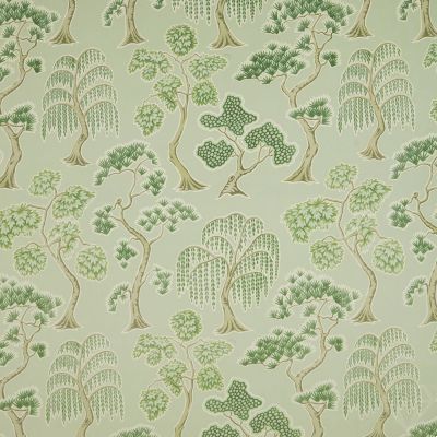 Midori Willow