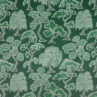 Midori Evergreen