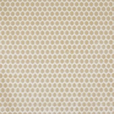 Prism Limestone
