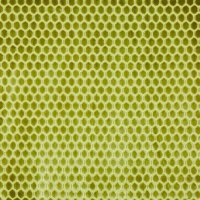 Prism Wasabi