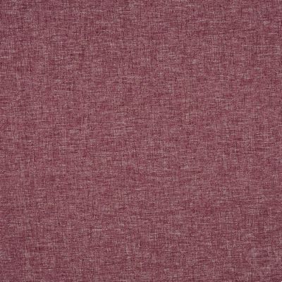 Nimbus Plum