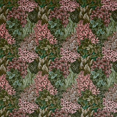 Garden Wall Coral